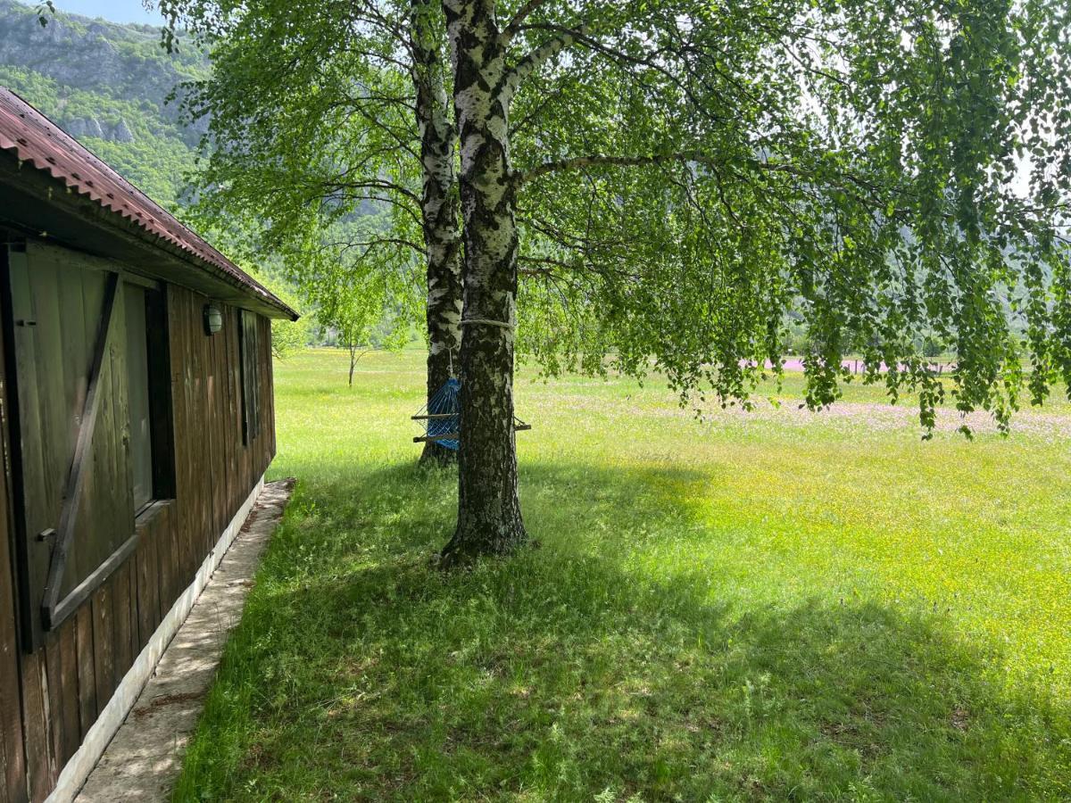 Mountain Cottage Komarnica Savnik Exterior photo